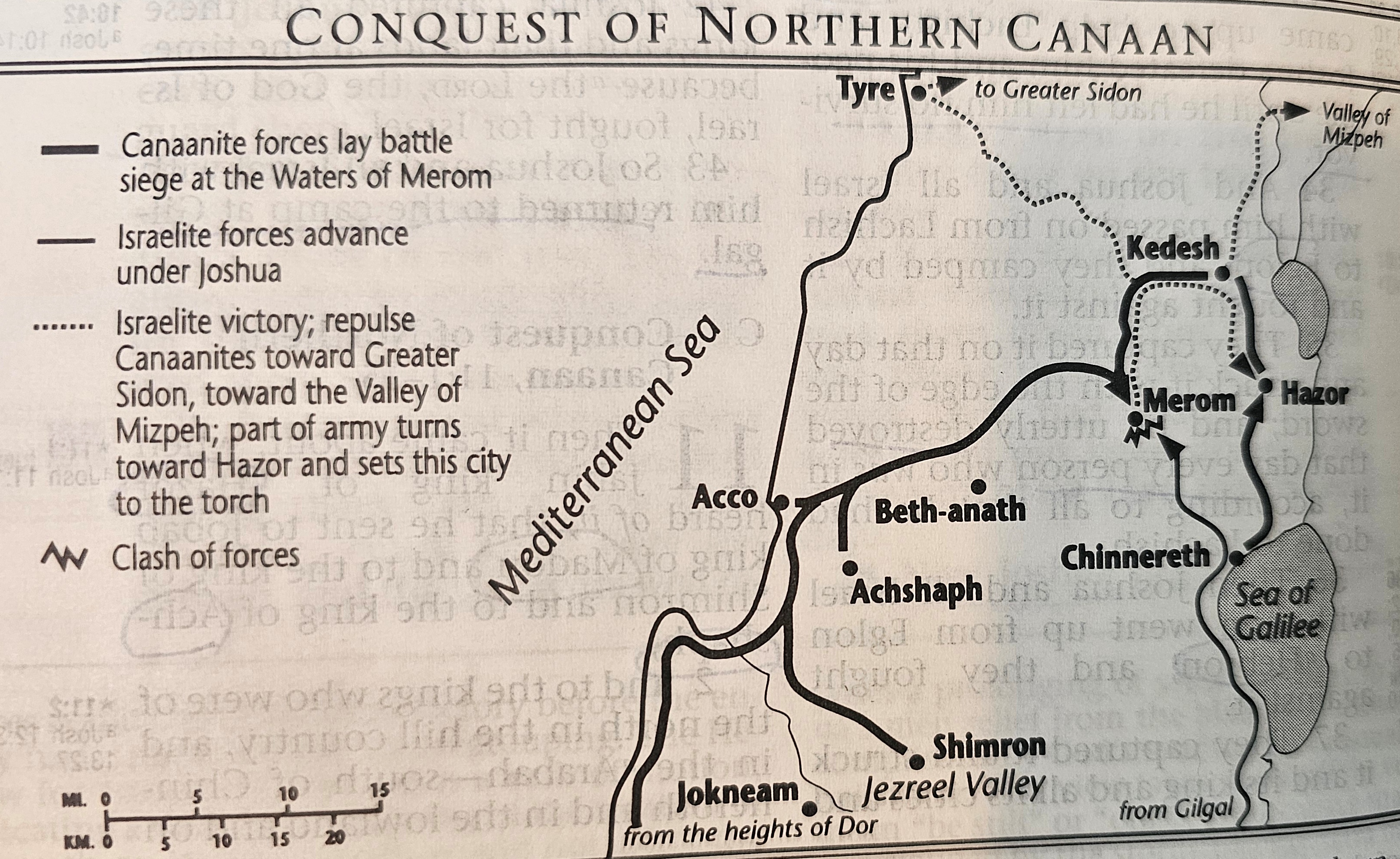 Northern Coalition